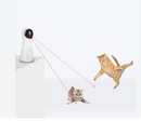 Stimulating Exercise Toy for Cats