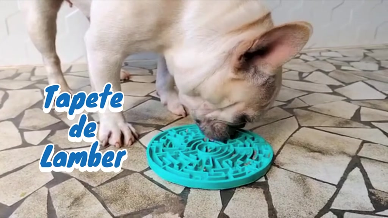 Comedouro Para Cão Labirinto Da Pet Games Brinquedo Tapete De Lamber Cachorro Saudável Divertido Intuitivo
