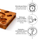 Brinquedo Inteligente Interativo Labirinto Indoor para Gatos - Coordenação e Diversão