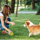 Wobble Wag Giggle Brinquedo Interativo para Cães Durável e sem Pilhas com Ruídos de Riso