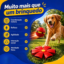 Bola Voadora Mágica Interativa Disco Voador Brinquedo para Cachorro Gato e Criança Pet Prime