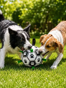 Brinquedo de Futebol para Animais de Estimação, Bola para Cães com Alças, Brinquedo interativo, Diversão para Seu Pet
